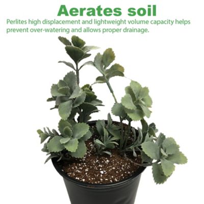 Image showing  6 lb. 1 cu. ft. Premium Horticulture Perlite, Additive Conditioner Mix, Improves Drainage, 2-Pack