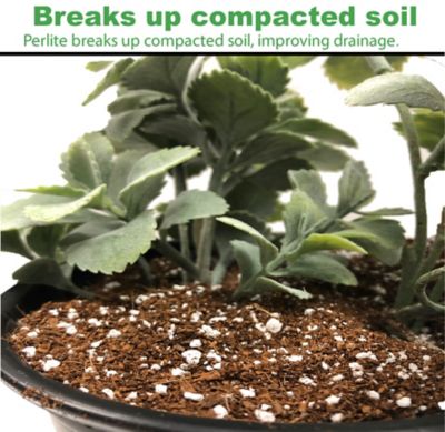 Image showing  Horticultural Perlite, Soil Amendment, 29 qt., 1 cu. ft., Pallet of 80