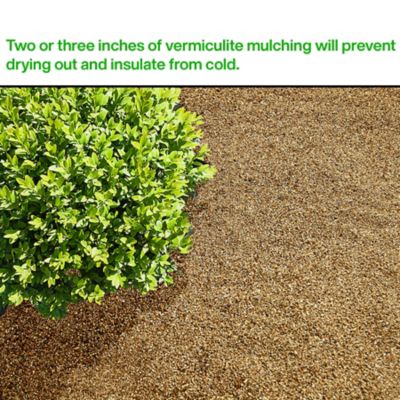 Image showing  Horticultural Vermiculite 4 cu. ft. Bag, 2 Pack