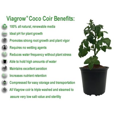 Image showing  650g Coco Coir Bricks, 3-Pack