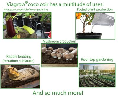 Image showing 5 th Viagrow 650g Coco Coir Bricks, Makes 2 gal., 7.5L, 8 qt., 6 pk.