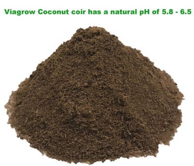 Image showing 6 th Viagrow 650g Coco Coir Bricks, Makes 2 gal., 7.5L, 8 qt., 6 pk.