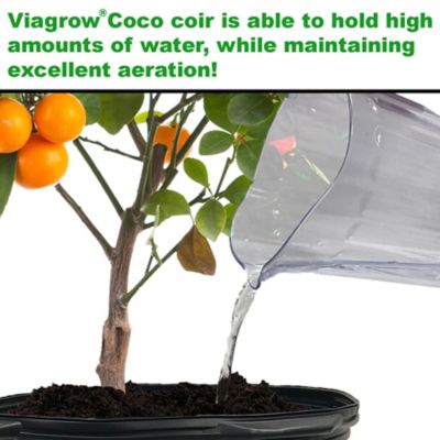 Image showing 5 th Viagrow 11 lb. Coconut Coir Brick Soilless Grow Media, Coco Coir 5kg Block