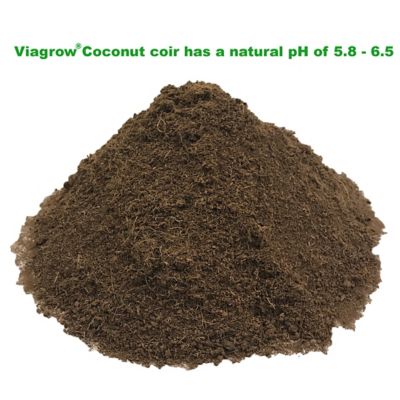 Image showing 6 th Viagrow 11 lb. Coconut Coir Brick Soilless Grow Media, Coco Coir 5kg Block