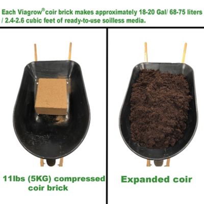 Image showing  Coco Coir, Soilless Grow Media, 5kg Brick, 2 pk.