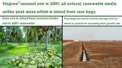 Image showing  Coco Coir, Soilless Grow Media, 5kg Brick, 2 pk.