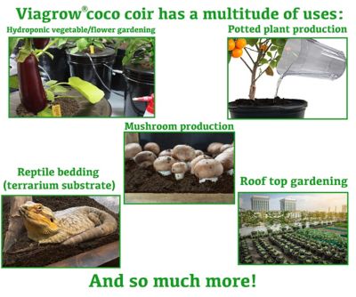 Image showing  Coco Coir, Soilless Grow Media, 5kg Brick, 2 pk.