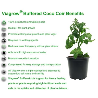 Image showing  Buffered Coco Coir, Premium Plant Growing Media, Compressed 5kg Brick, Pallet of 198