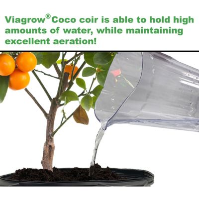 Image showing  Buffered Coco Coir, Premium Plant Growing Media, Compressed 5kg Brick, Pallet of 198