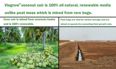 Image showing  Reptile Substrate, Premium Coco Coir Chips, (72 Quarts / 68 Liters / 18 Gallons)