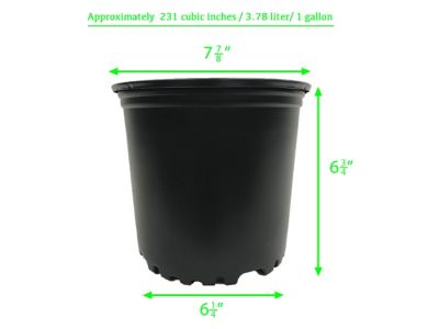Image showing  1 gal. Plastic Nursery Pots, 12-Pack