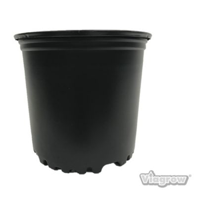 Image showing  1 gal. Plastic Nursery Pots, 20-Pack