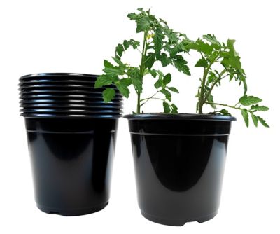 Viagrow 2 gal. Planter Pots, Plastic Nursery Pots (7.18 liters), 10 pk.