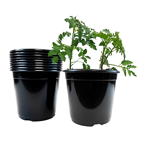 Viagrow 2 gal. Planter Pots, Plastic Nursery Pots (7.18 liters), 10 pk.