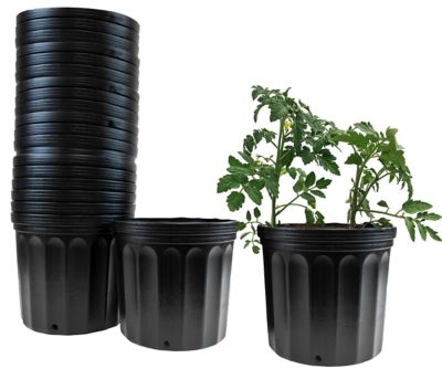 Viagrow 3 Gallon Plastic Nursery Pots, Planter Pots (11.36 Liters) 24-Pack Great pots