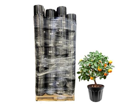 Viagrow 3 gal. Plastic Nursery Pots, Pallet of 2,352