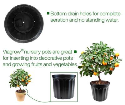 Image showing  3 gal. Plastic Nursery Pots, Pallet of 2,352