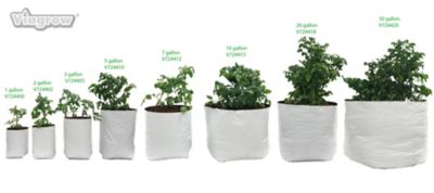 Image showing 5 th Viagrow 3 gal. 4 Mil Thick Plastic Grow Bags, White/Black, 50-Pack