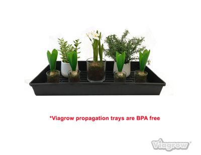 Image showing  Extra Strong Propagation Trays, 100-Pack