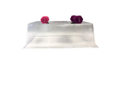 Image showing  Plastic Propagation Dome Kit, 7 in., 20-Pack