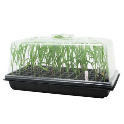 Image showing  Plastic Propagation Dome Kit, 7 in., 20-Pack