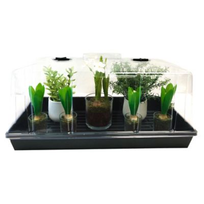 Viagrow Extra Strength Propagation Trays with Tall Dome, BPA Free and Food Safe, 5-Pack