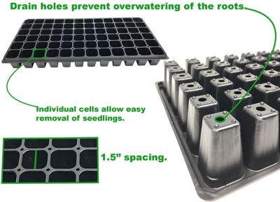 Image showing  Propagation Kit with Tray, Insert, Tall Dome and 100-Pack of Seed Starter Plugs
