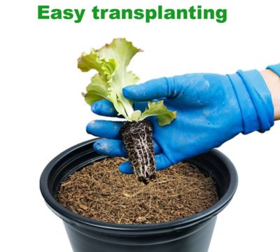 Image showing  Seedling Plugs, Natural Seed Starters 100-Pack of Super Plugs