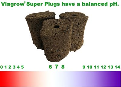 Image showing  Seedling Starter Plugs, Case of 1400 Super Plugs