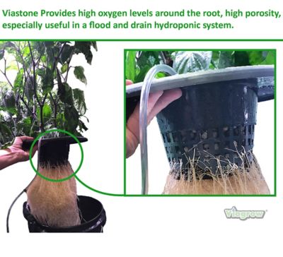 Image showing  Expanded Clay Pebbles,Viastone Grow Rocks, Hydroponics Growing Media for Gardening Orchid Aquaponics,10 Liter