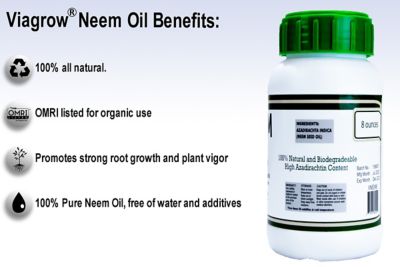 Image showing  100% Cold Pressed Neem Seed Oil for Plants (8 oz. Makes 12 gal.), OMRI Listed