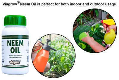 Image showing  100% Cold Pressed Neem Seed Oil for Plants (24 oz. Makes 36 gal.), OMRI Listed, 8 oz. Bottles, 3 pk.