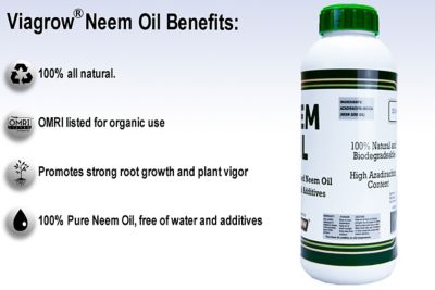 Image showing  Cold Pressed Neem Oil Seed Extract, (128 oz. Makes 192 gal.), OMRI Listed, 32 oz. Bottles, 4 pk.