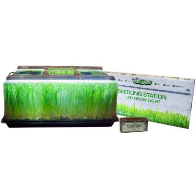 Viagrow Seedling Station Kit with LED Grow Light, Propagation Dome 4X Durable Propagation Tray & Coir