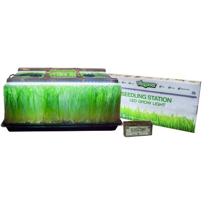 Viagrow 200 sq. in. Polypropylene Seedling Station Kit with LED Grow Light, Propagation Dome, 4X Durable Propagation Tray & Coir