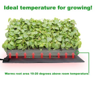 Image showing  Seed Propagating Seedling Heat Mat, 20.5 in. x 8.5 in.