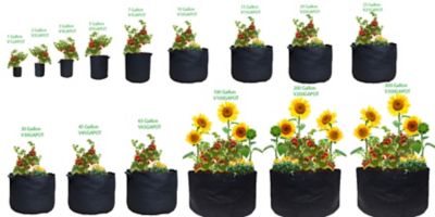 Image showing  2 gal. Fabric Aeration Pots, 5-Pack