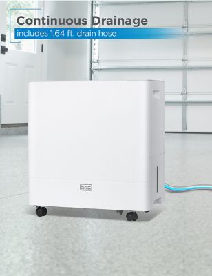 Image showing 5 th Black & Decker 50 pt. Dehumidifier for Large Spaces and Basements, 650 sq. ft.