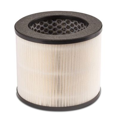 Black & Decker Replacement 3-Stage Hepa Filter, AF1