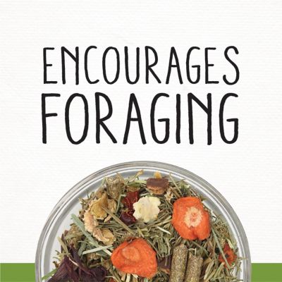 Image showing  SunSalad Foraging Treat, 10 oz. Bag