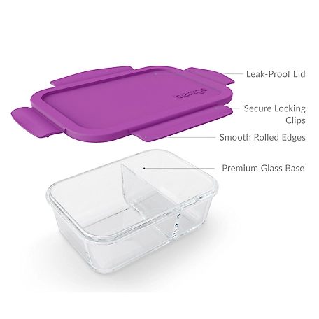 Bentgo Snack Bpa-free Food Storage Container in the Food Storage