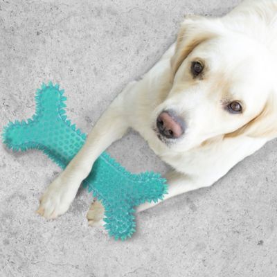 Image showing 6 th Gnawsome Mega Spiky Squeaker Bone Dog Chew Toy