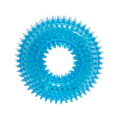 Gnawsome Spiky Squeaker Ring Dog Toy