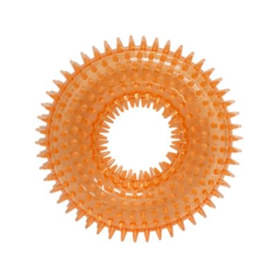 Image showing  Spiky Squeaker Ring Dog Chew Toy