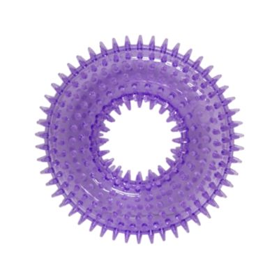 Image showing  Spiky Squeaker Ring Dog Chew Toy
