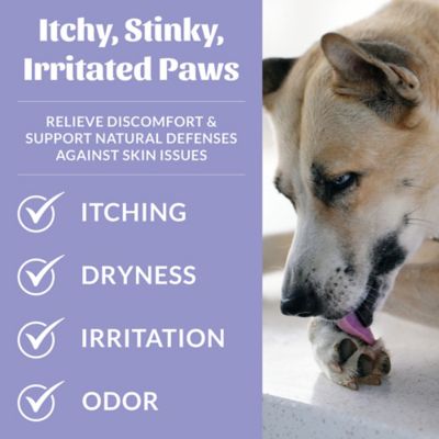 Image showing  Probiotic Paw Spray For Dogs and Cats