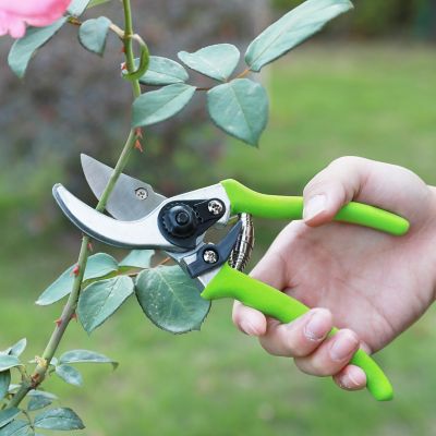 Image showing  Limb and Branch Pruner Tool Set, Heat-Treated Steel, W151010