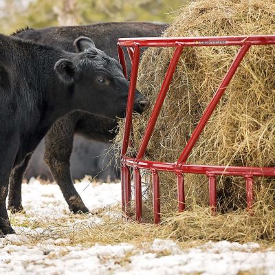 Image showing  1 Round Bale 8 ft. x 45 in. Heavy-Duty Hay Bale Feeder for Cattle