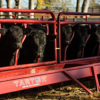 Image showing 10 ft. Tarter Cattle Fence Line Feeder Panels
