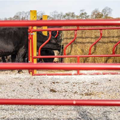 Image showing 12 ft. Cattle Fence Line Feeder Panels